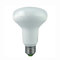 LED R63 11w 6k LED Lamp