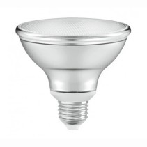 LED Par 30 10w Warm White LED Lamp