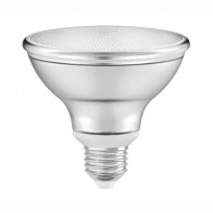 LED Par 30 10w Warm White LED Lamp